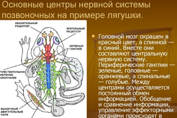 Кракен как зарегистрироваться